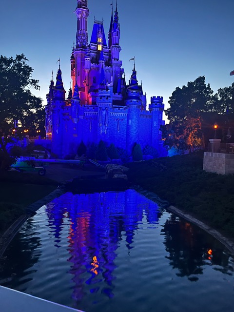 The disney castle in a dark blue and pink light with a smudged reflection below it.